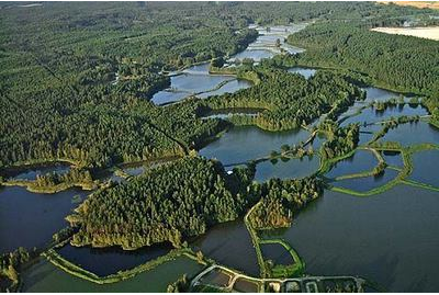 Firmenanzeige Stadt Oberasbach