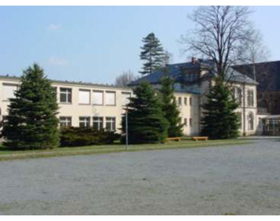 Firmenanzeige ibfl e.V. Sebnitz