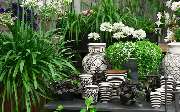 1A Blumen Beck - GALLERY