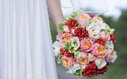 1A Blumen Beck - GALLERY