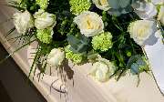 1A Blumen Beck - GALLERY