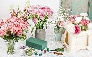 1A Blumen Beck - GALLERY