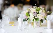 1A Blumen Beck - GALLERY