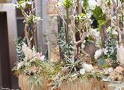 1A Garten Zitzelsberger - GALLERY