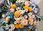 1A Garten Zitzelsberger - GALLERY
