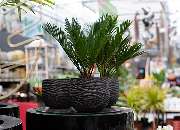 1A Garten Zitzelsberger - GALLERY