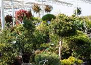 1A Garten Zitzelsberger - GALLERY