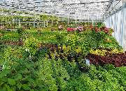 1A Garten Zitzelsberger - GALLERY