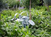 1A Garten Zitzelsberger - GALLERY