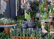 1A Garten Zitzelsberger - GALLERY