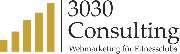 Logo - 3030 Consulting Thorsten Schäffer