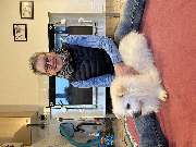 4-Beinerphysio - Tierphysiotherapie - Osteopathie Susanne Bender - GALLERY