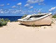 A & C Reise - GALLERY