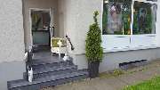 A-Haar Die Friseure - GALLERY