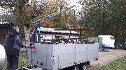 A. König Metallhandel und Grünflächenpflege e. Kfr. - GALLERY