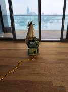 A. Oliva Parkett & Bodenbeläge - A. Oliva Parkett & Bodenbeläge Köln