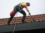 A.R.C.Tec Baumgutachten, Baumpflege - GALLERY