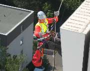 A.R.C.Tec Baumgutachten, Baumpflege - GALLERY