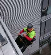 A.R.C.Tec Baumgutachten, Baumpflege - GALLERY