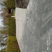 Aalema Gartenbau - 10