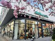 Abele Optik - GALLERY