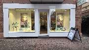 Abele Optik - GALLERY