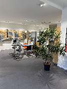 Abele Optik - GALLERY