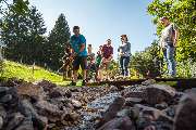 Abenteuer Golfpark Hochschwarzwald - 4