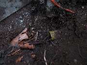 ABFLUSS WAGNER - Dillingen - GALLERY