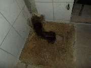 ABFLUSS WAGNER - Heidenheim - GALLERY