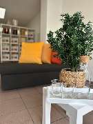 Abschied Bestattungen - GALLERY