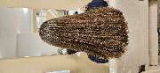 Abschnitt 11 e.K. - GALLERY