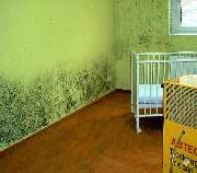 ABTEC ... der Abdichtprofi! - GALLERY