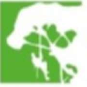 Acd Baumpflege - LOGO