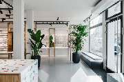 Ace & Tate - GALLERY