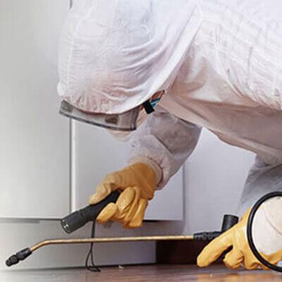 ACE Zydek Schädlingsbekämpfung GmbH - 1