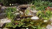 AdaGartenBau - Gartengestaltung