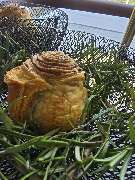 Adam Catering Krefeld | Business Events & Hochzeiten - WhatsApp Bild 2025-08-08 um 17.43.28_a77f622c.jpg