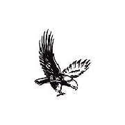 Adler-Apotheke - Logo der Adler-Apotheke