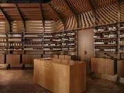 Aesop - GALLERY