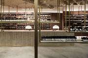 Aesop - GALLERY