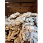 Afro Beauty Shop - GALLERY