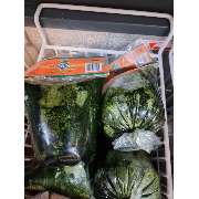 Afro Beauty Shop - GALLERY