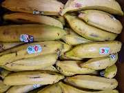 Afro Beauty Shop - GALLERY