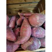 Afro Beauty Shop - GALLERY