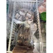 Afro Beauty Shop - GALLERY