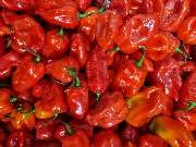 Afro Beauty Shop - GALLERY