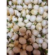 Afro Beauty Shop - GALLERY