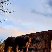 AFTERWORK Region Stuttgart - GALLERY