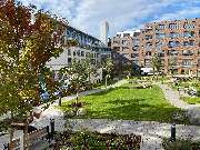 AGAPLESION ELISABETHENSTIFT - Krankenhaus Agaplesion Elisabethenstift